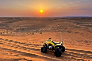 Photography - Dubai Desert